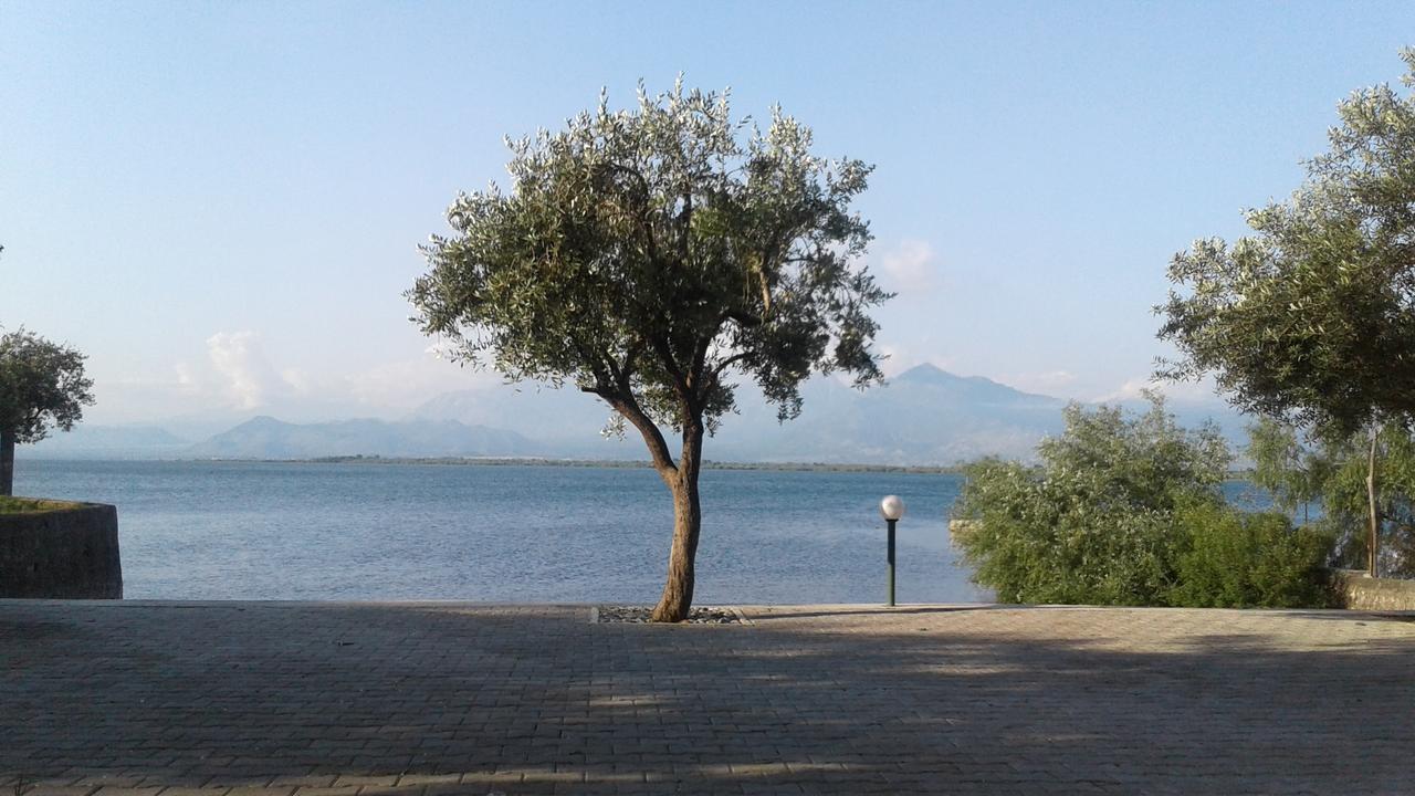 Hotel Shkodra Lake Široka 외부 사진